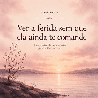 A Pequena Ferida : Como pequenos acontecimentos te moldaram, e como voltar a soltar os teus velhos reflexos